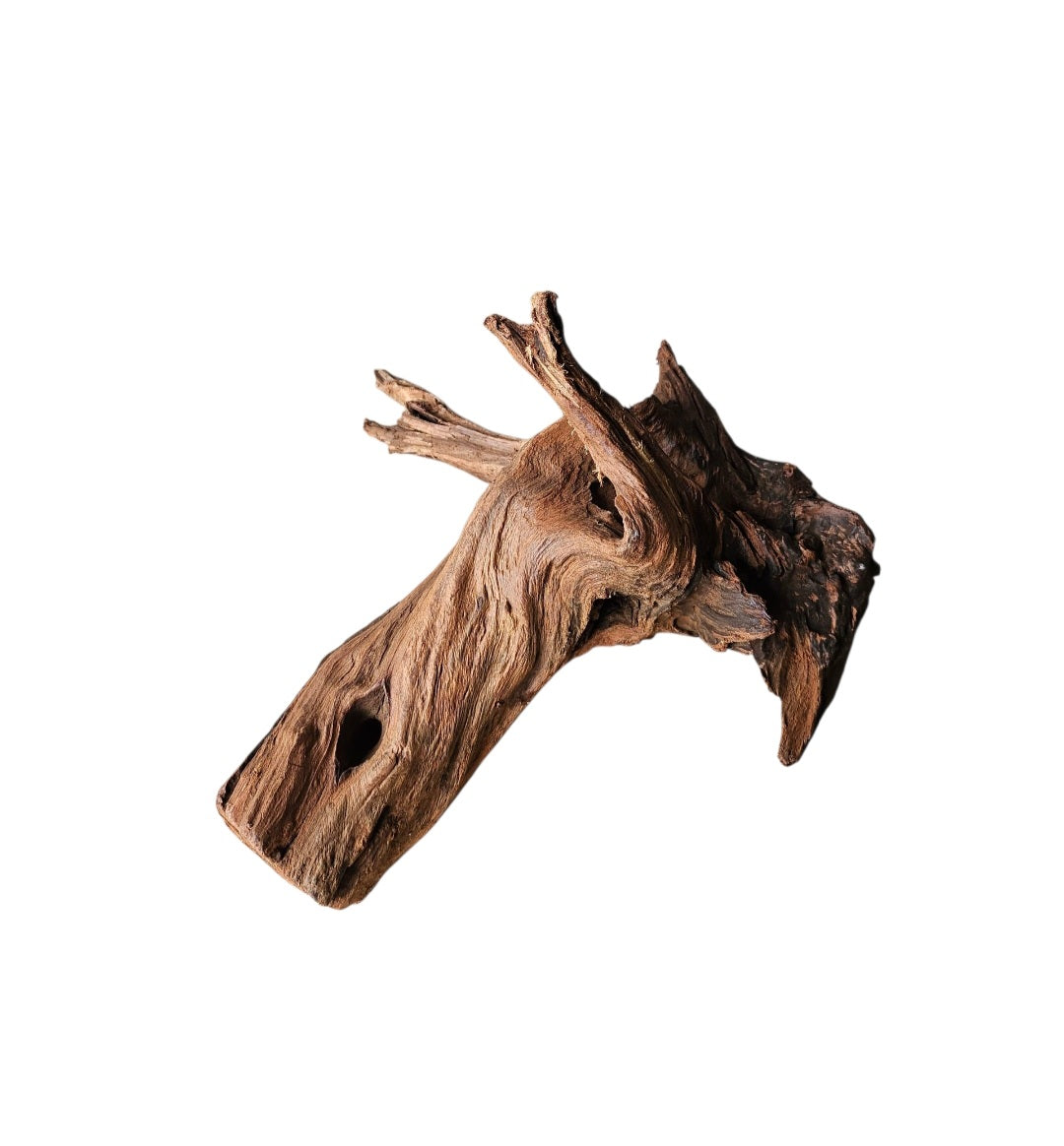 Driftwood / Flusswurzel   Nr.987