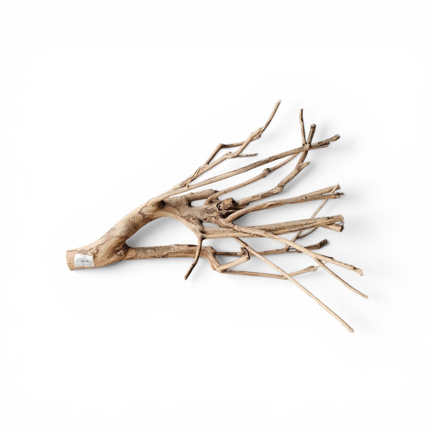 Talawa Holz/Wood 30-45cm    Nr.676