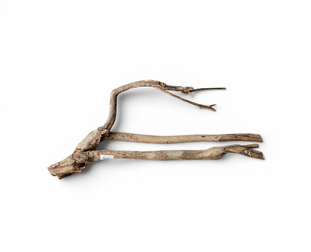 Talawa Holz/Wood  30-45cm   Nr. 225