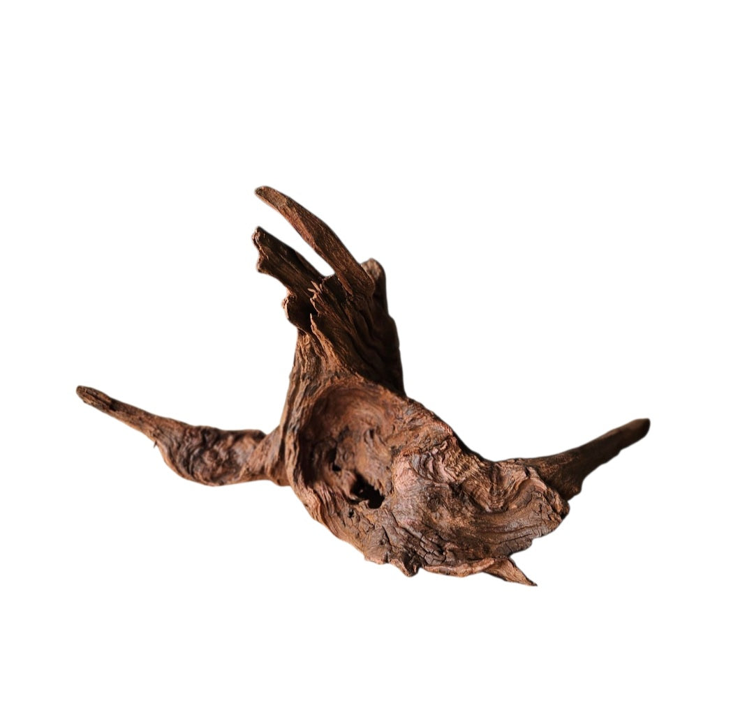 Driftwood / Flusswurzel   Nr.989