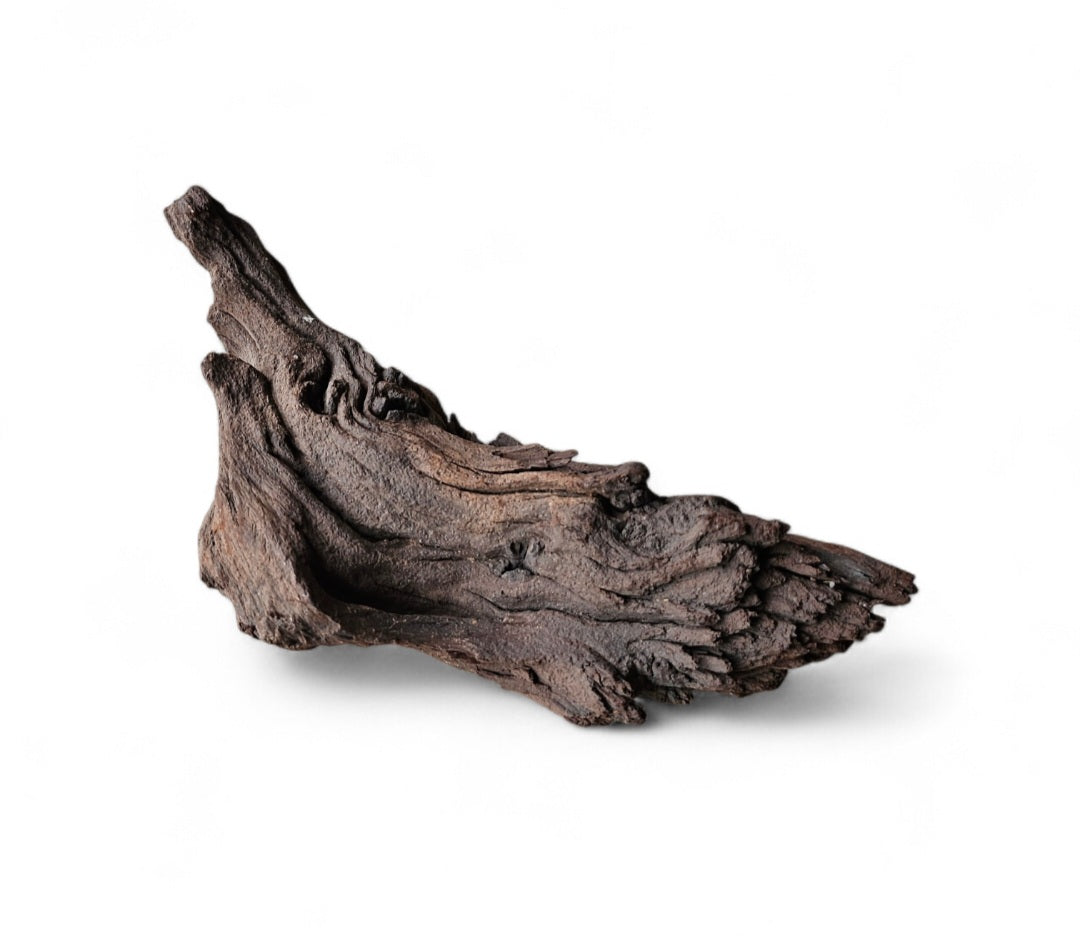 Mopani Wurzel  Nr.37