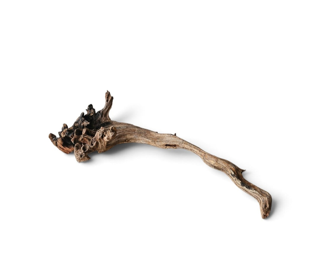 Coral Sinker Wood   Nr. 197