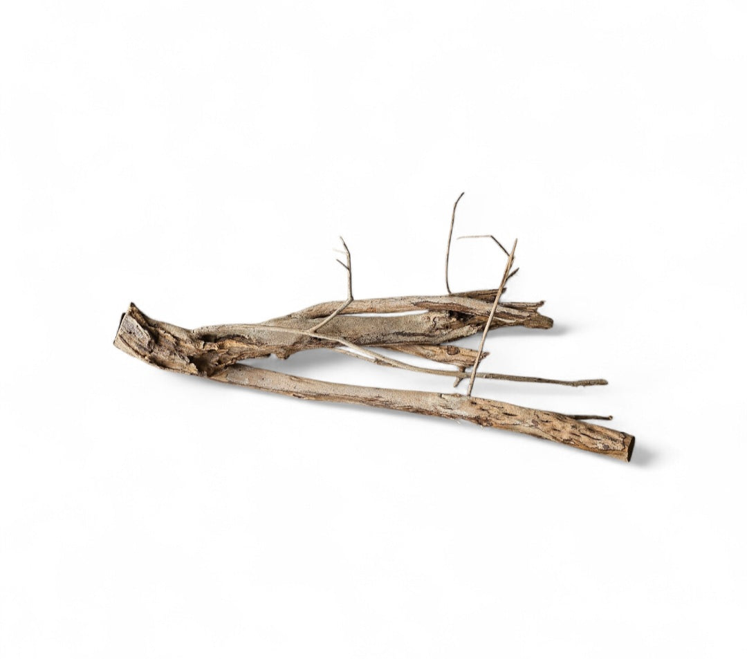 Talawa Holz/Wood 30-45cm   Nr.677