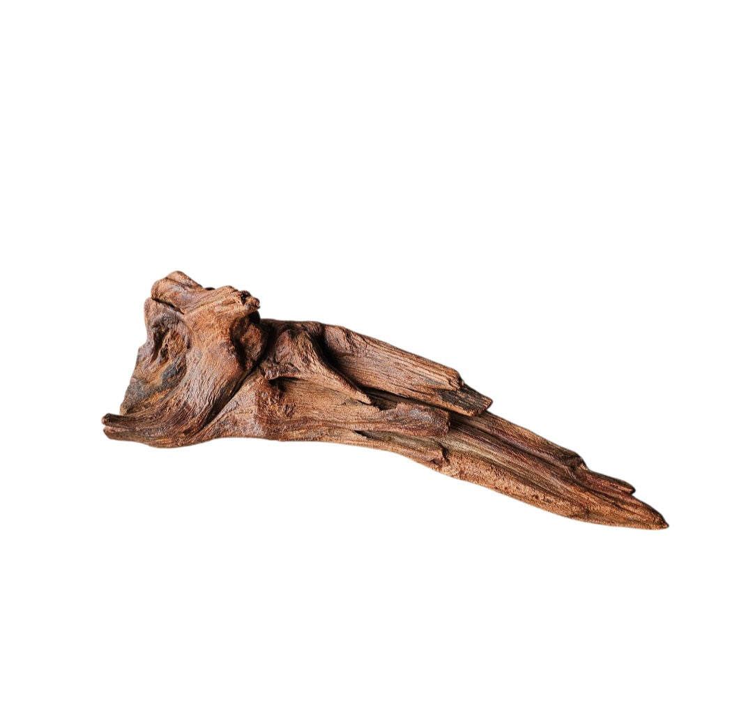 Driftwood / Flusswurzel   Nr.1