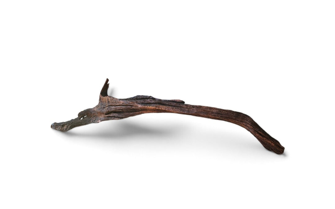 Driftwood / Flusswurzel   Nr.209