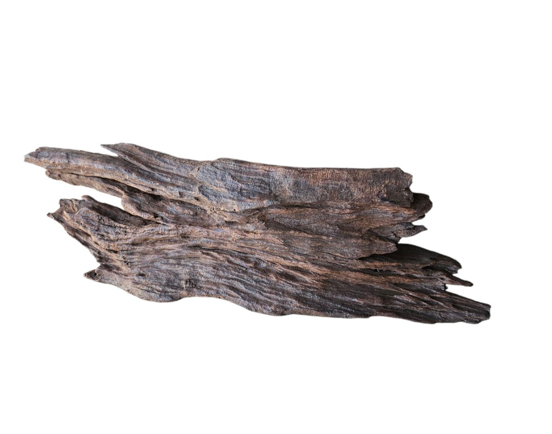Driftwood / Flusswurzel   Nr. 478