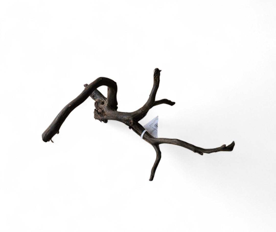 Black Root S  Nr.461