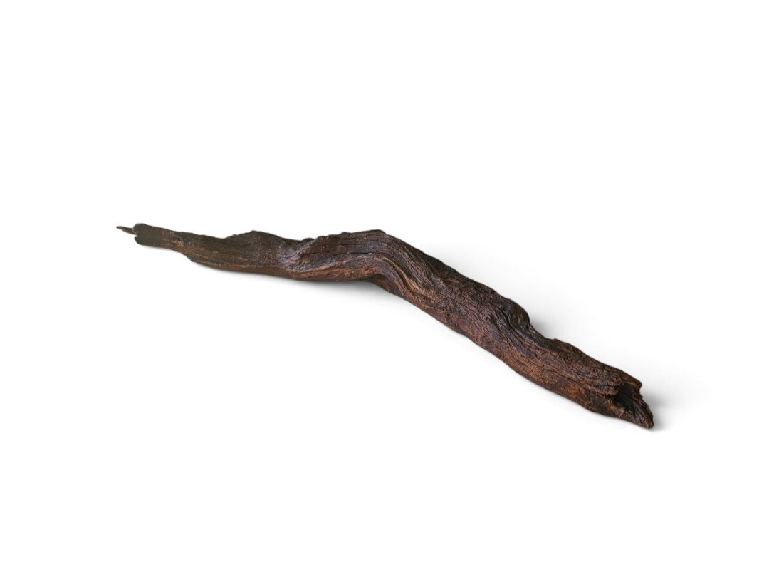 Driftwood / Flusswurzel   Nr.219