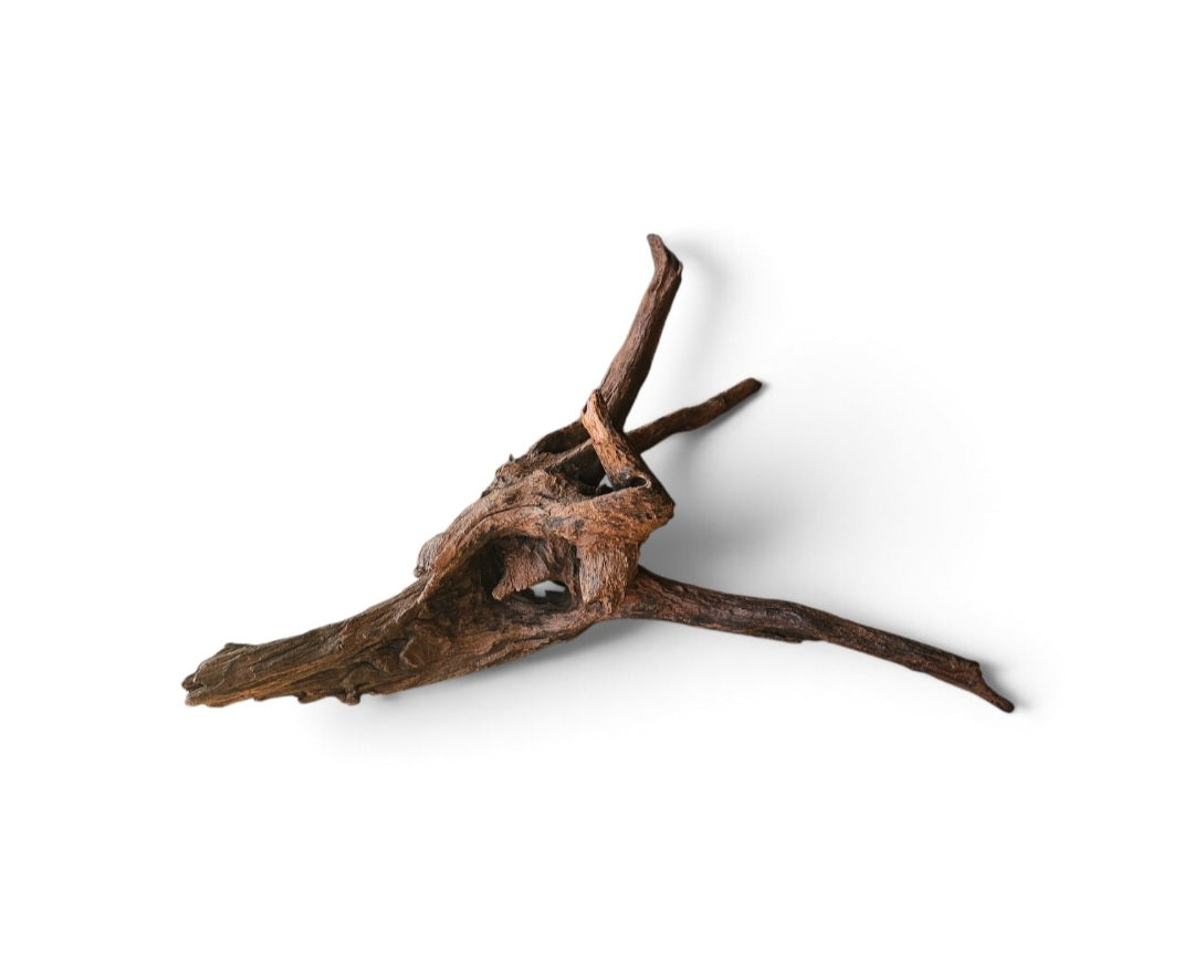Driftwood / Flusswurzel   Nr.1