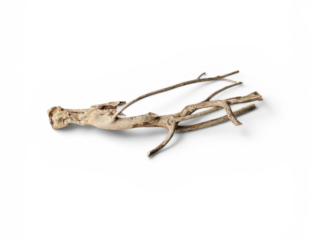 Talawa Wood   30-45cm Nr. 222