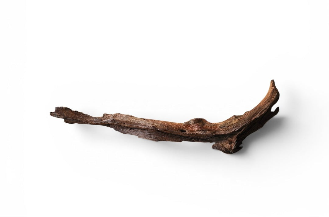 Driftwood / Flusswurzel   Nr. 491