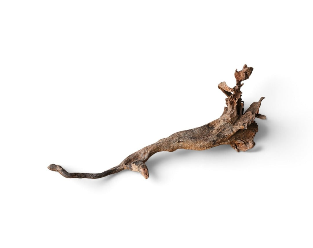 Coral Sinker Wood   Nr. 128