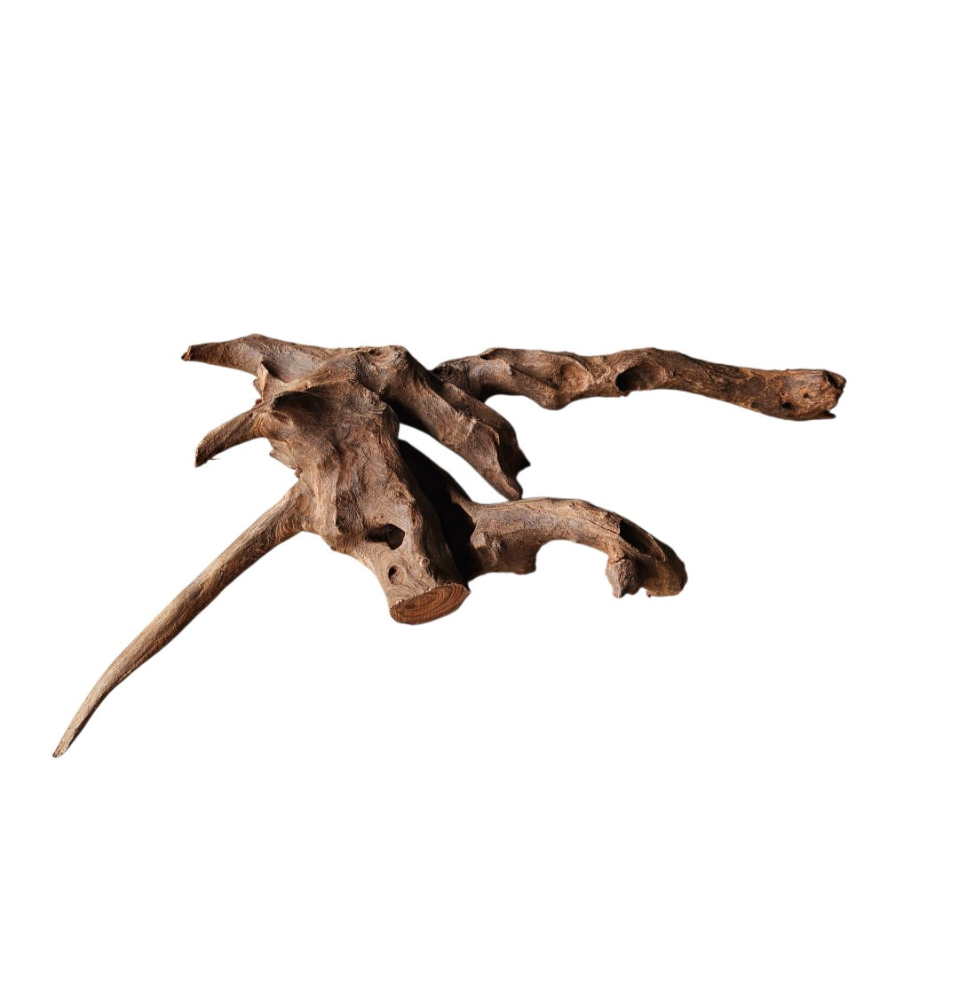 Driftwood / Flusswurzel   Nr.219