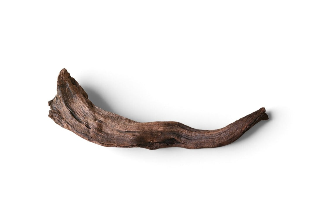 Driftwood / Flusswurzel   Nr. 691