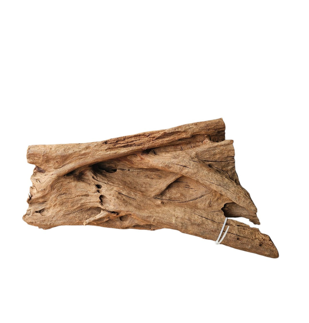 Mangrove  Größe XL  /  Nr.132