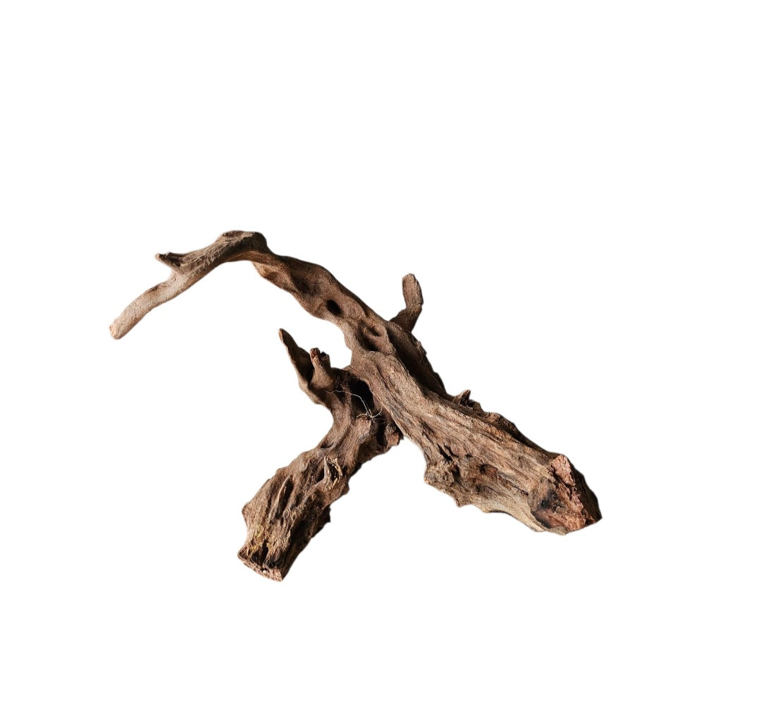 Coral Sinker Wood   Nr. 462