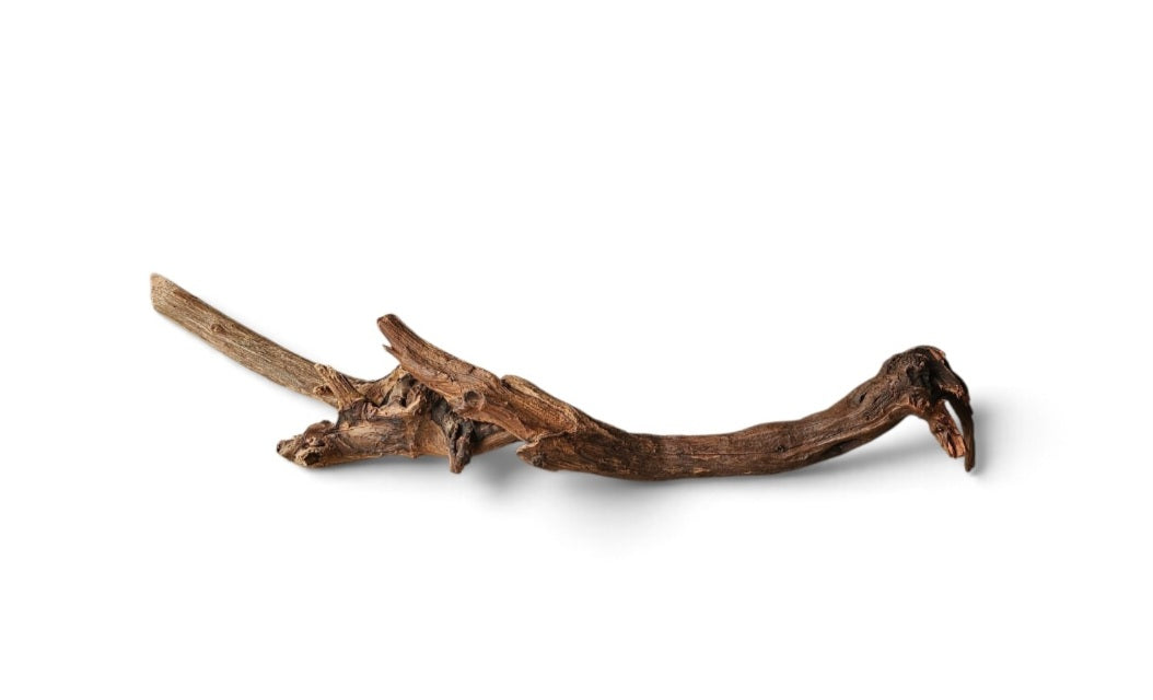 Driftwood / Flusswurzel   Nr. 274