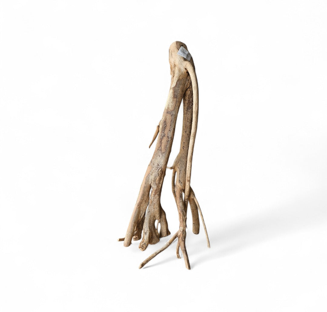 Talawa Wood 30-45cm  Nr. 237