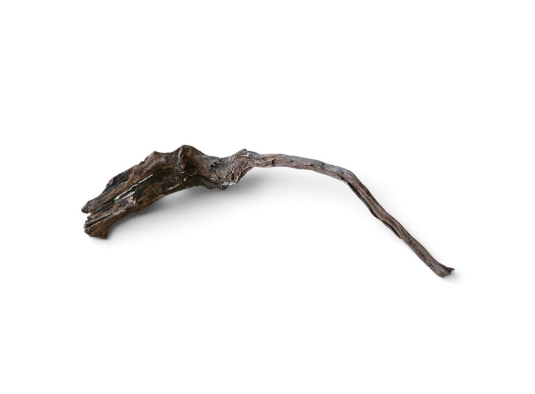 Coral Sinker Wood   Nr.637