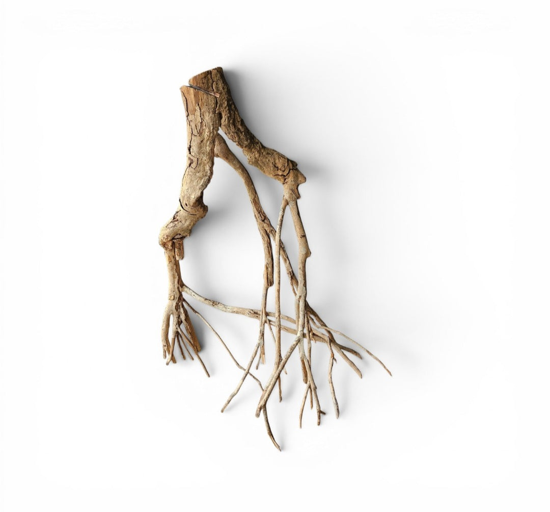 Talawa Holz / Wood 70-80 cm   Nr. 163