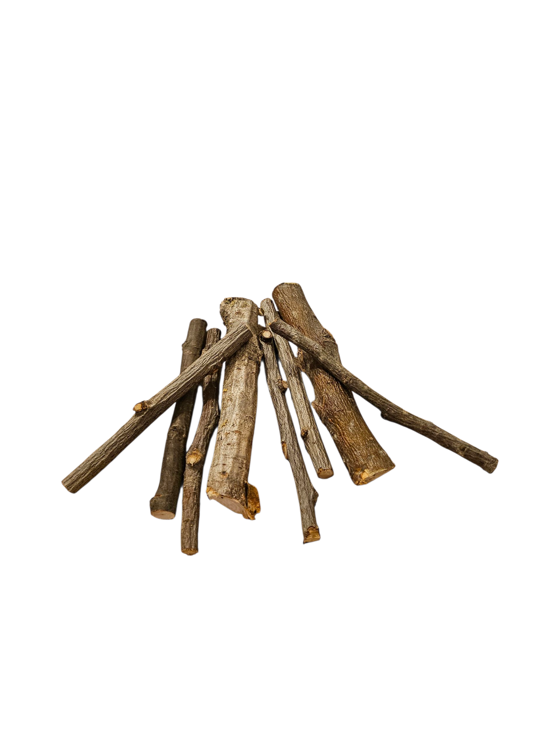 Obstbaumzweige - 7 Stück gemischt