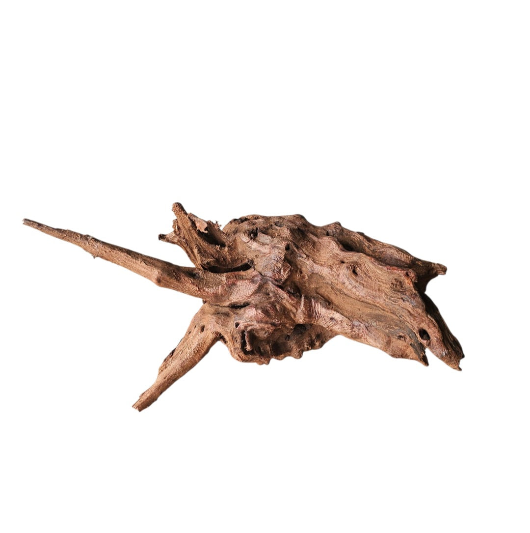 Driftwood / Flusswurzel   Nr.981