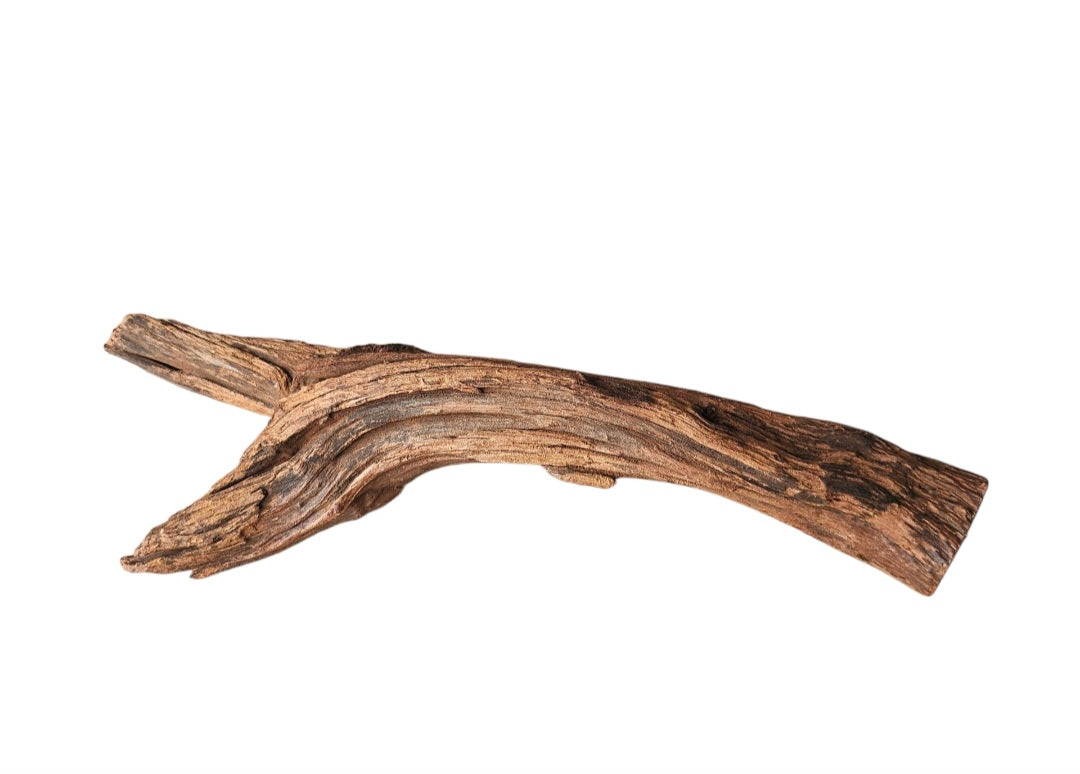 Driftwood / Flusswurzel   Nr.985
