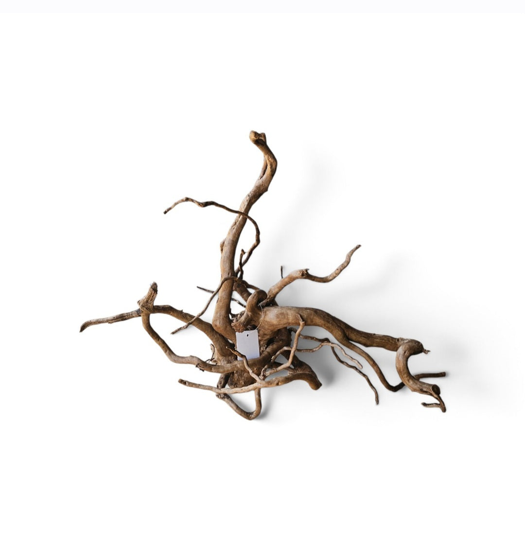 Dunkle Moorwurzel L (40-45 cm)   Nr.932
