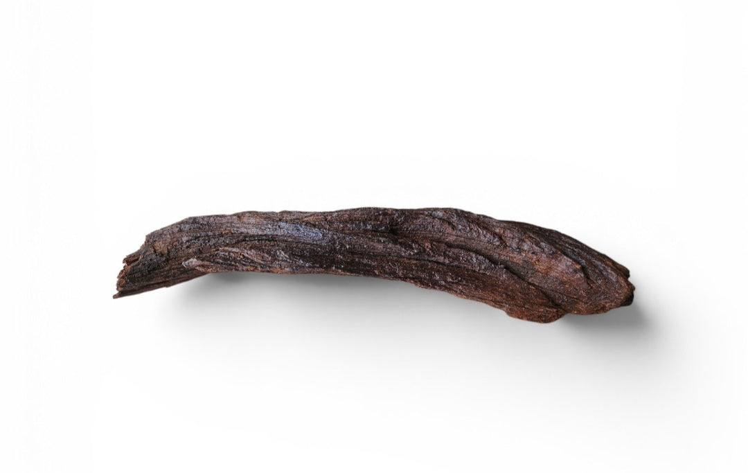 Driftwood / Flusswurzel   Nr.999