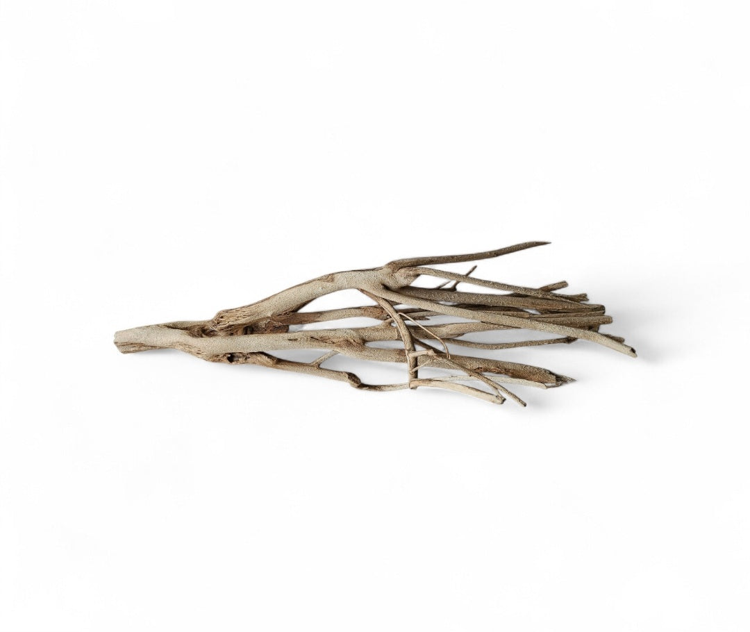 Talawa Holz / Wood 50-70 cm  Nr.727