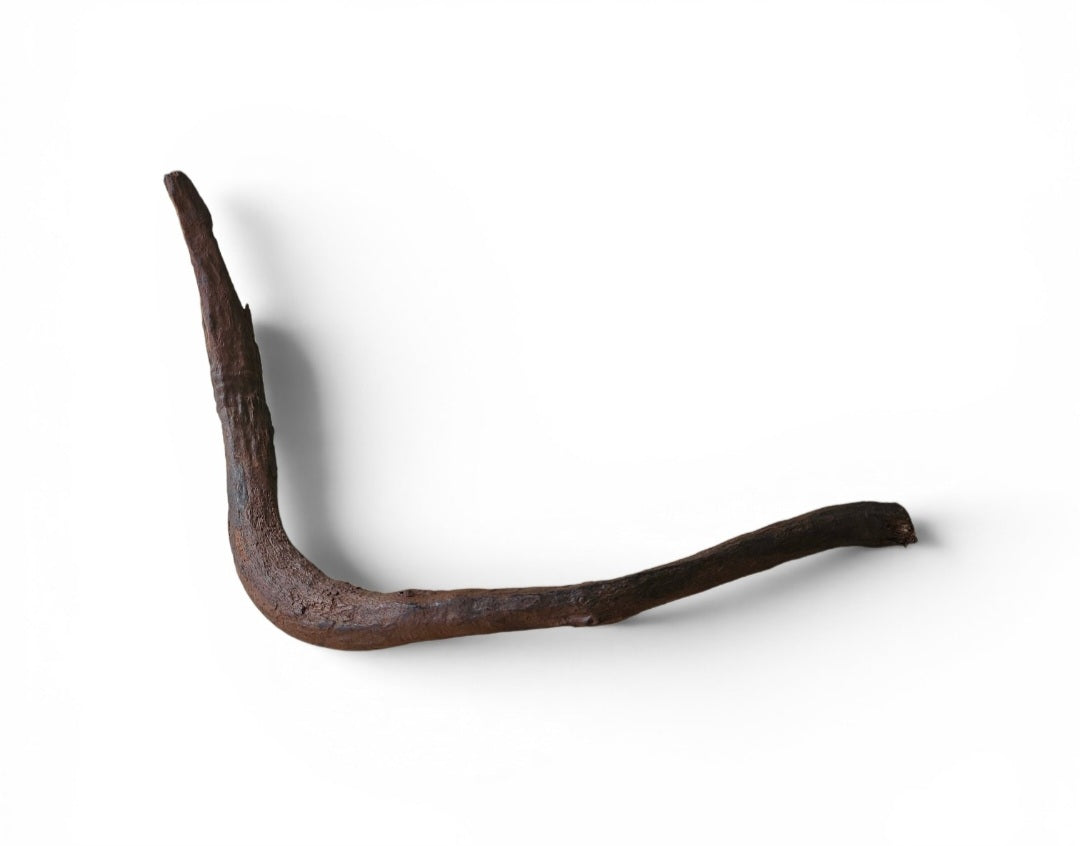 Driftwood / Flusswurzel   Nr.995