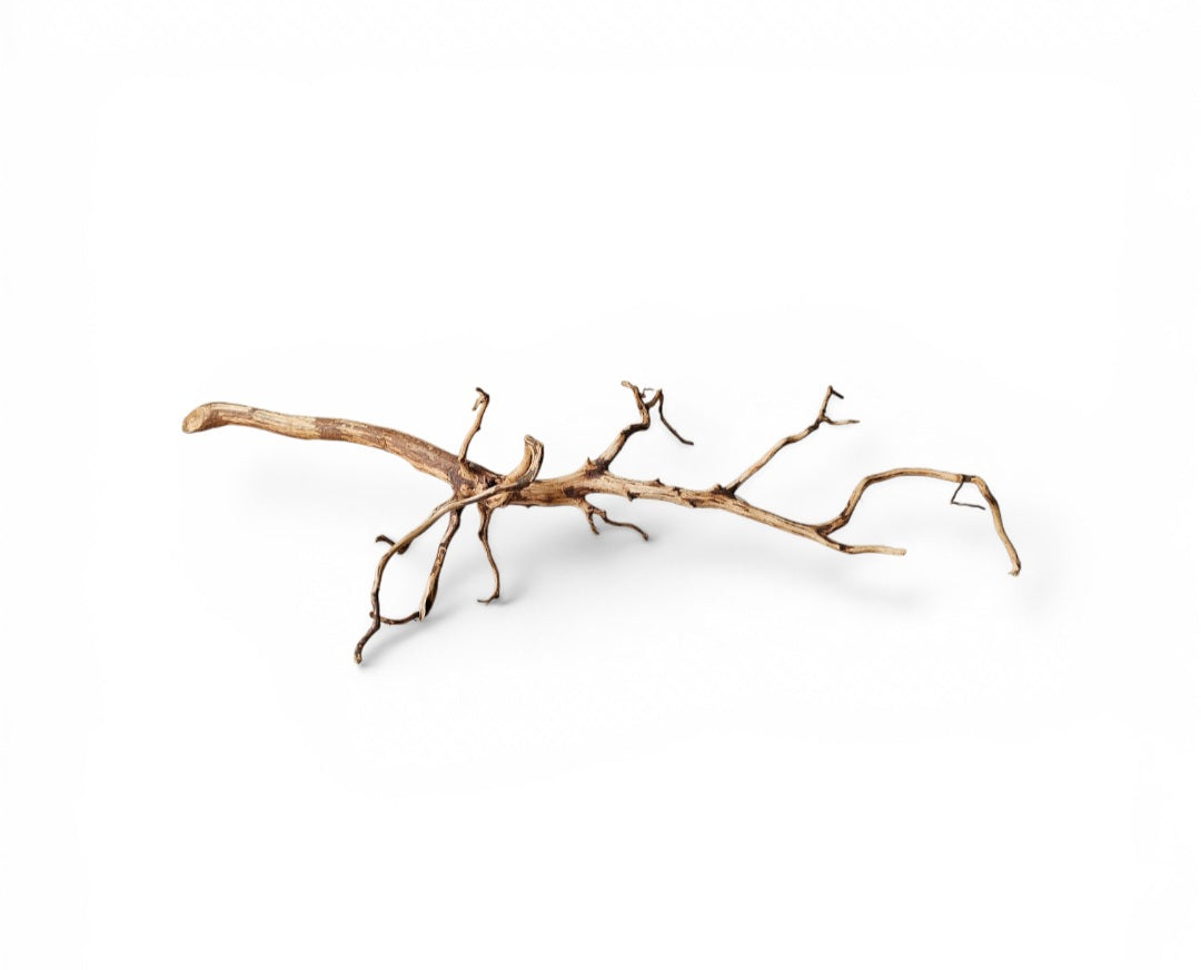 Dark Snake Wood   Nr.595