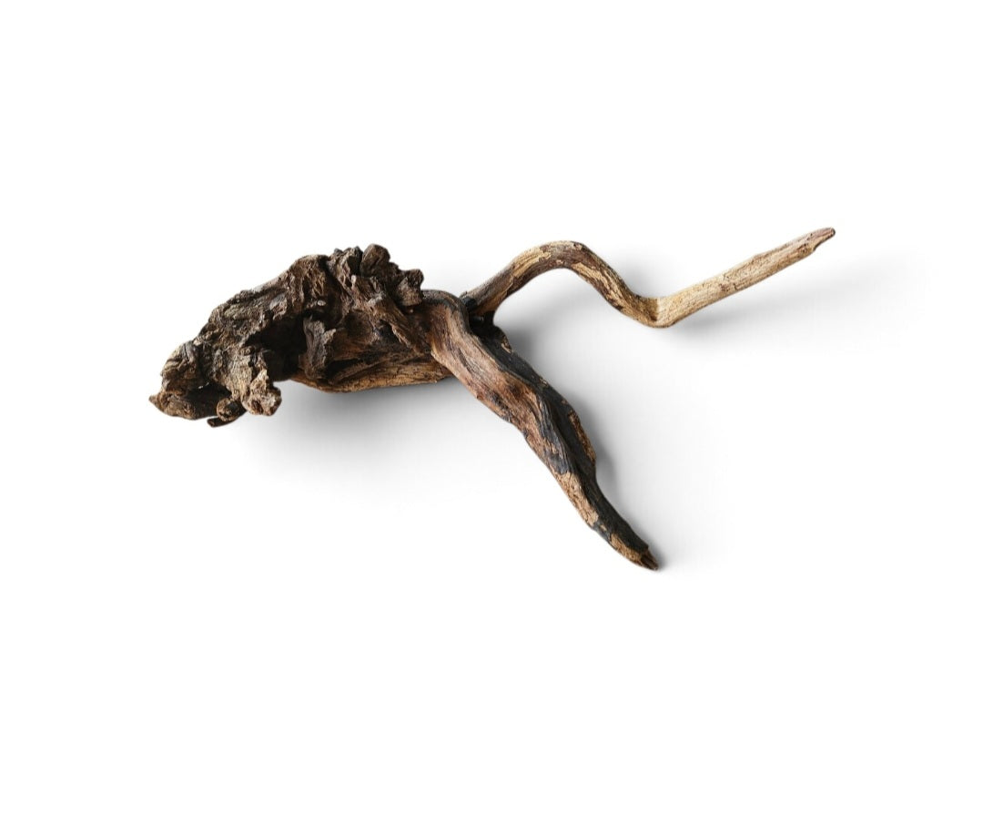 Coral Sinker Wood   Nr. 885
