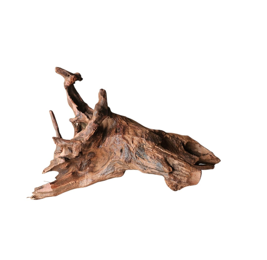 Driftwood / Flusswurzel   Nr.980