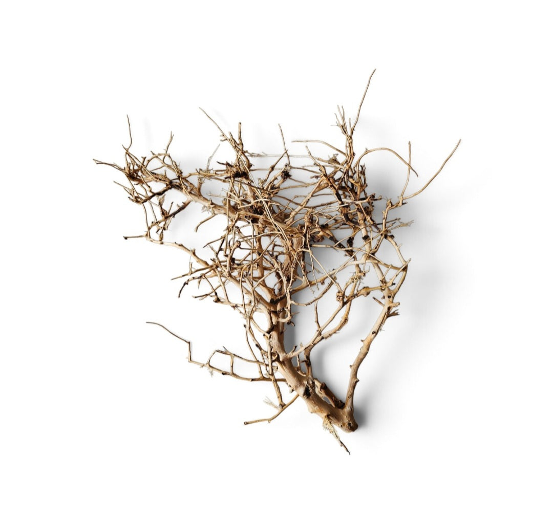 Small tree branches  Nr.675