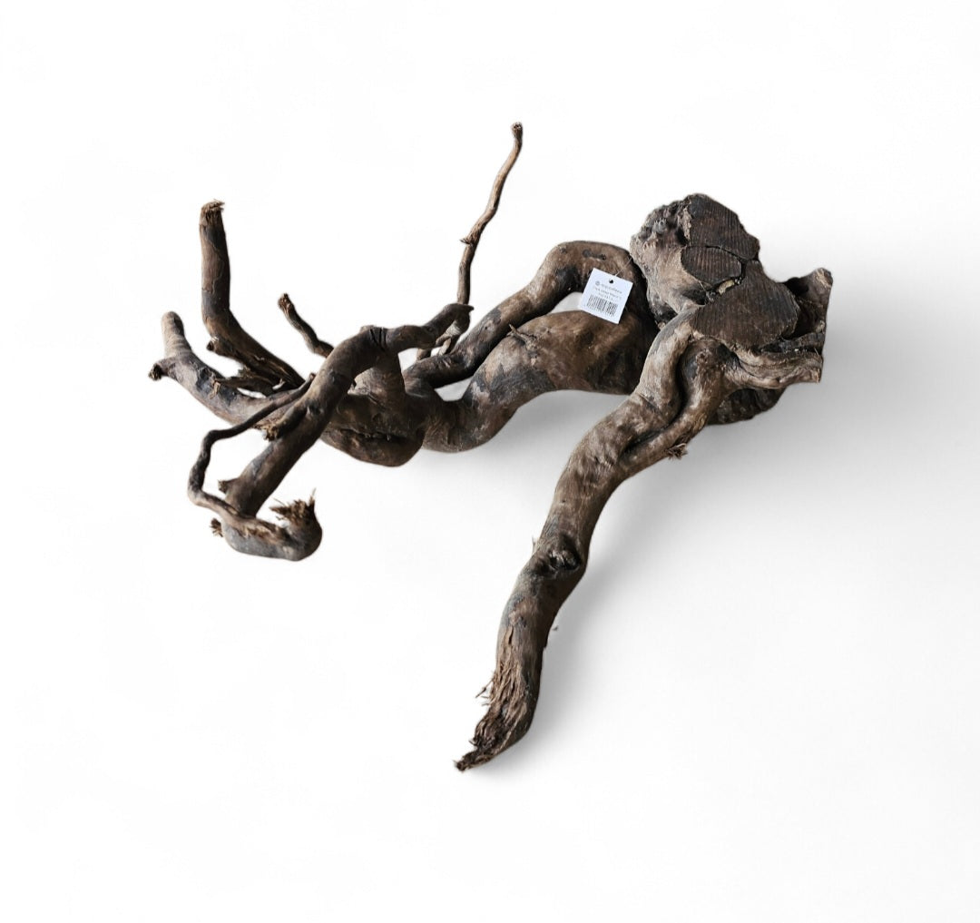 Dunkle Moorwurzel L (40-45 cm)   Wurzel 927