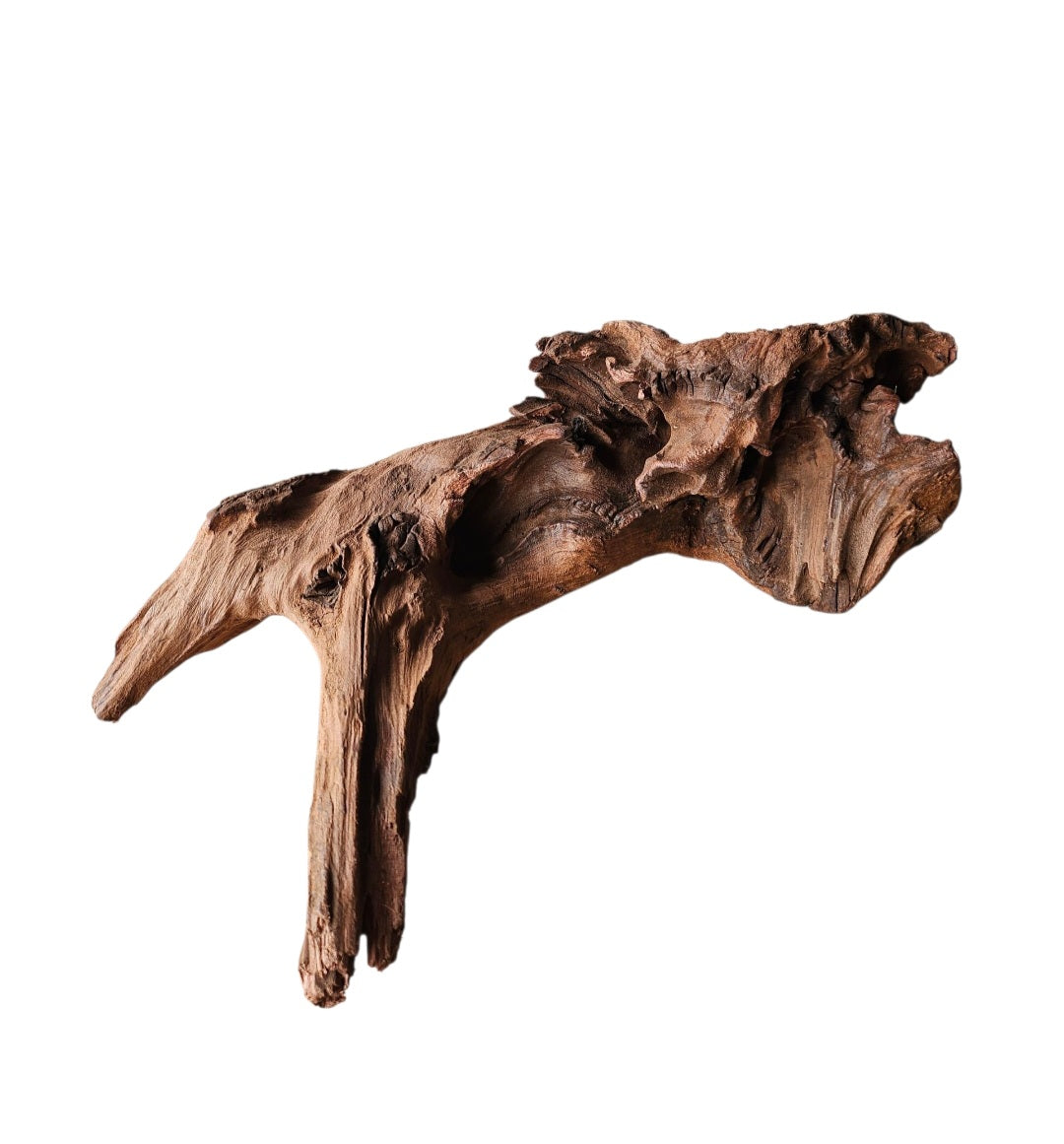 Driftwood / Flusswurzel   Nr.6
