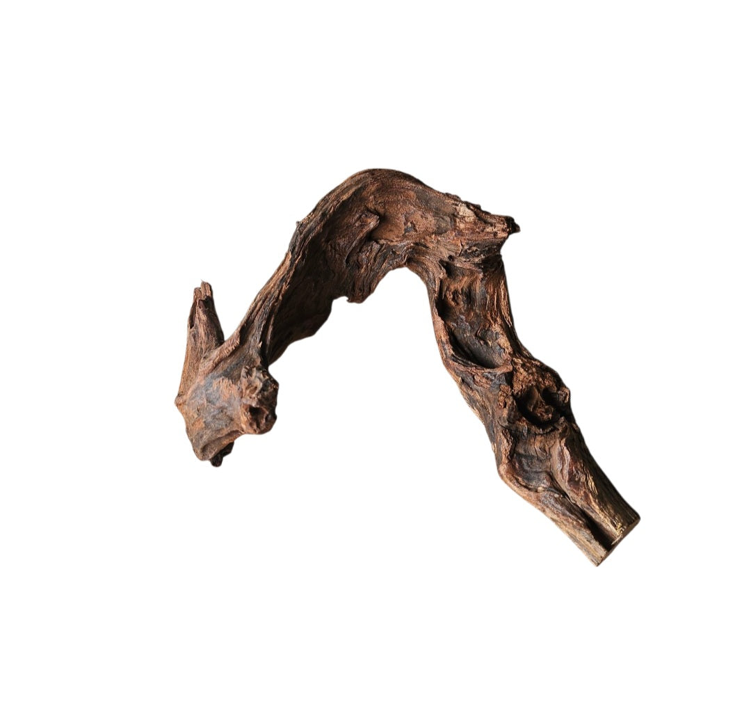 Driftwood / Flusswurzel   Nr.800
