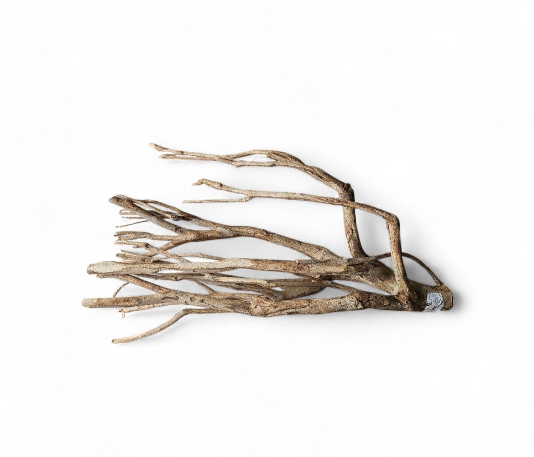 Talawa Holz/Wood 30-45cm    Nr.676