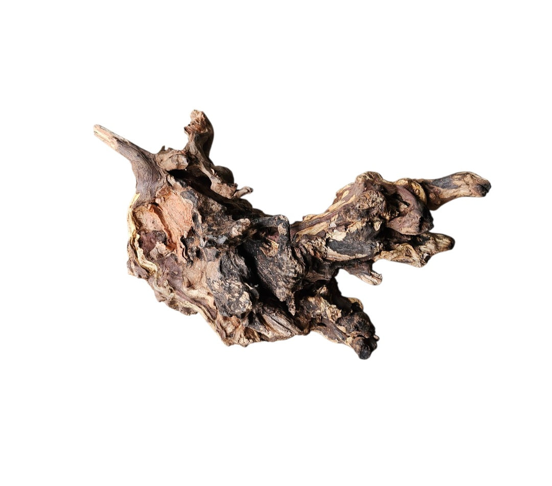 Coral Sinker Wood   Nr.620