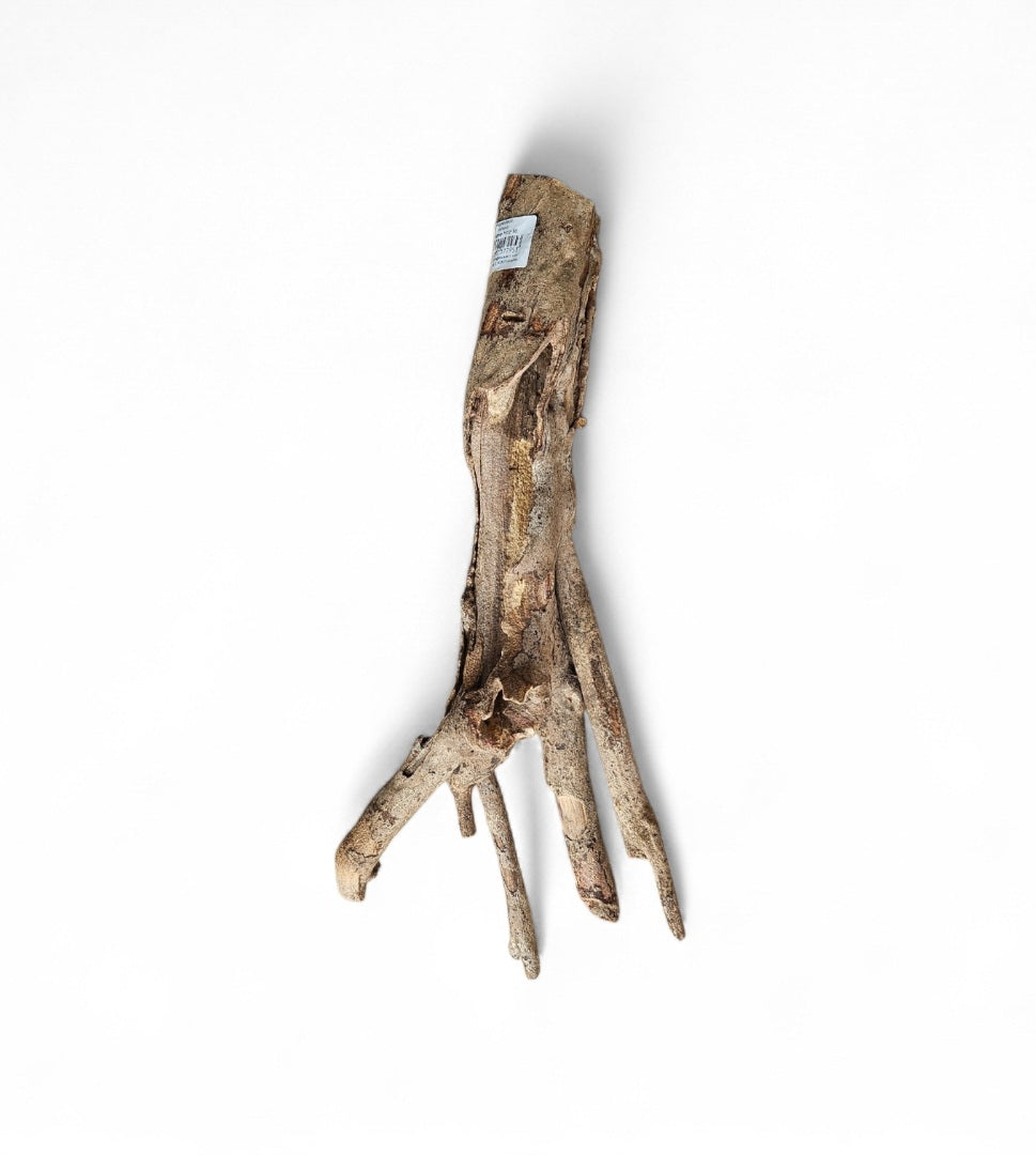 Talawa Holz / Wood 30-45 cm   Nr. 161