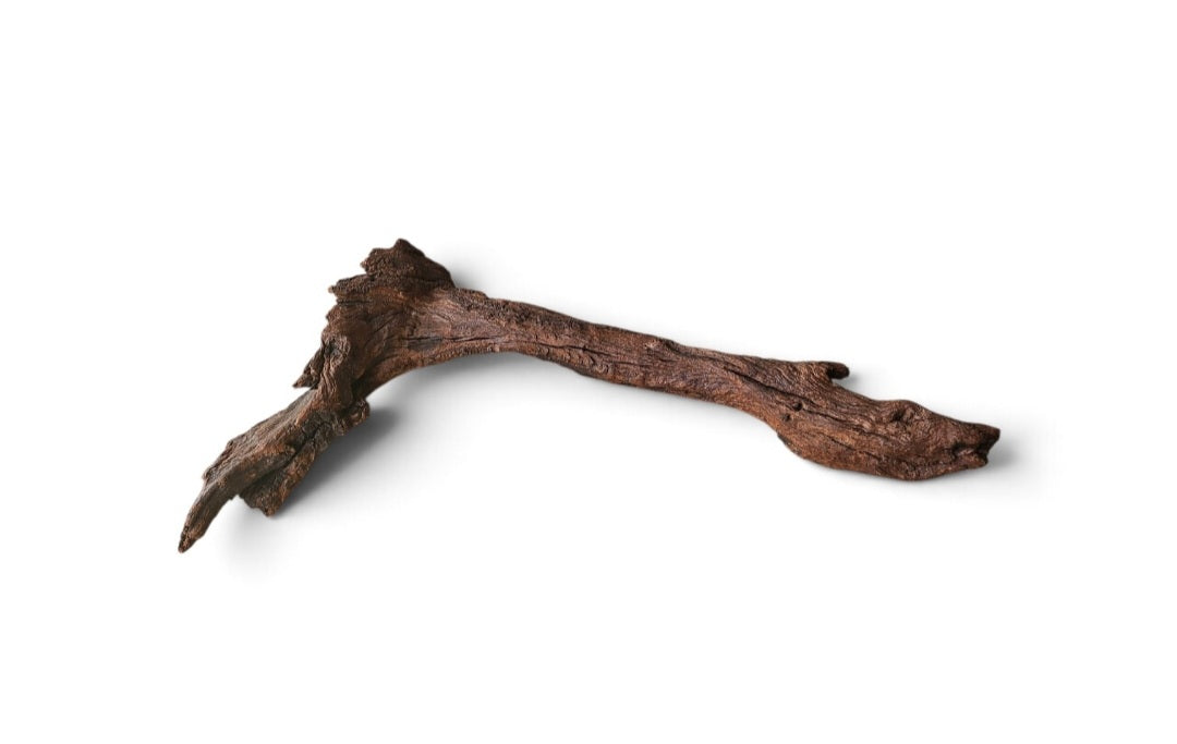 Driftwood / Flusswurzel   Nr. 864