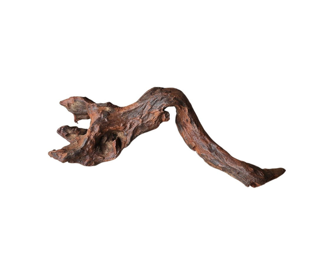Driftwood / Flusswurzel   Nr.305