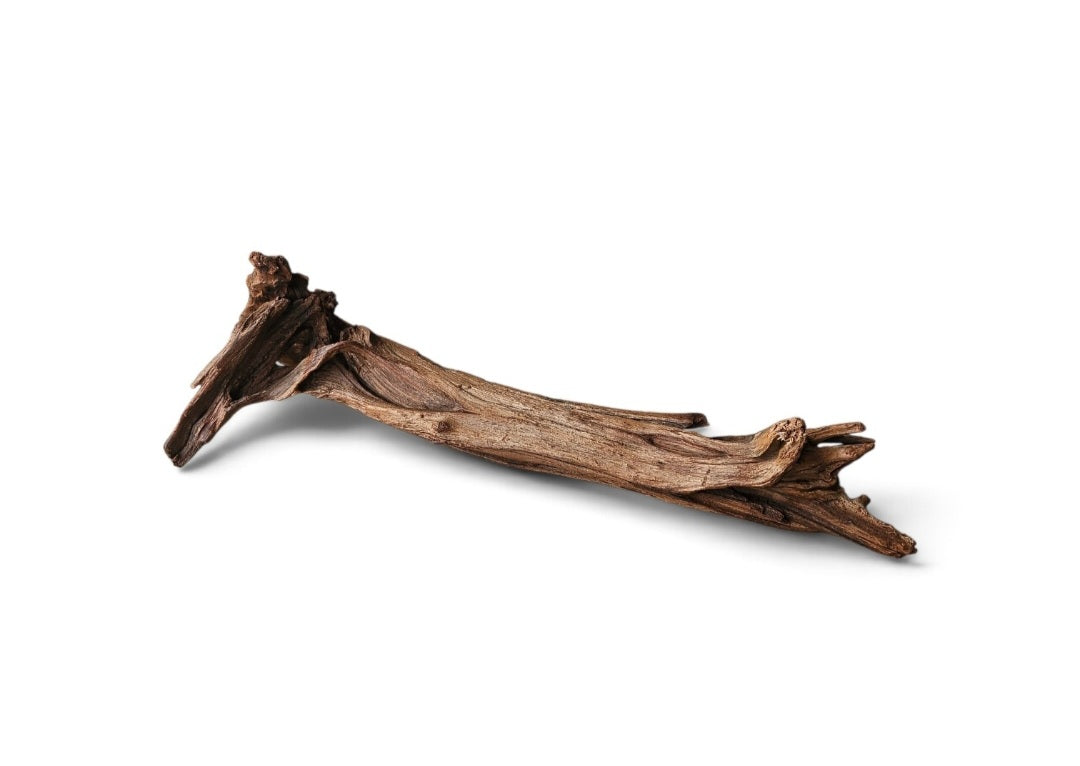 Driftwood / Flusswurzel   Nr. 15
