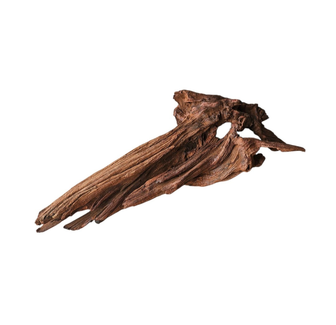Driftwood / Flusswurzel   Nr. 247