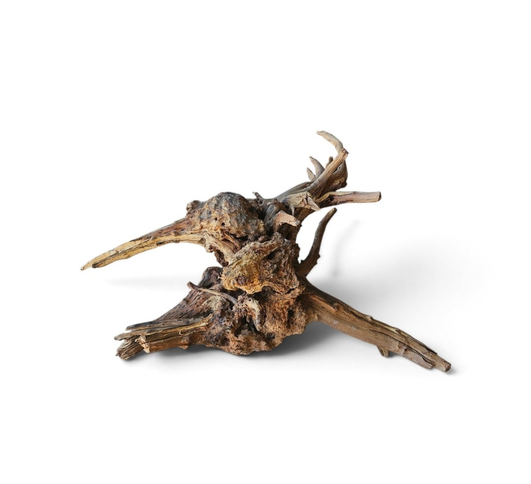 Coral Sinker Wood   Nr. 897