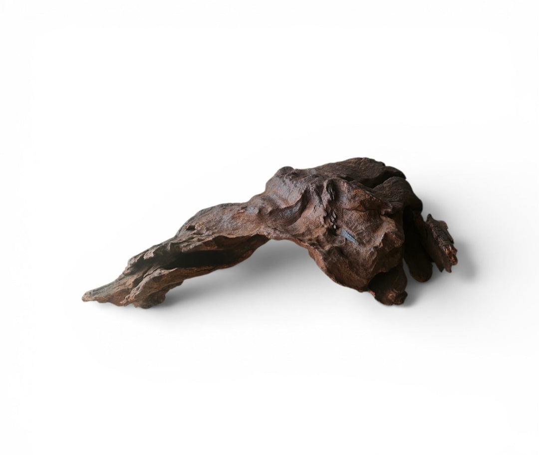Driftwood / Flusswurzel   Nr. 257