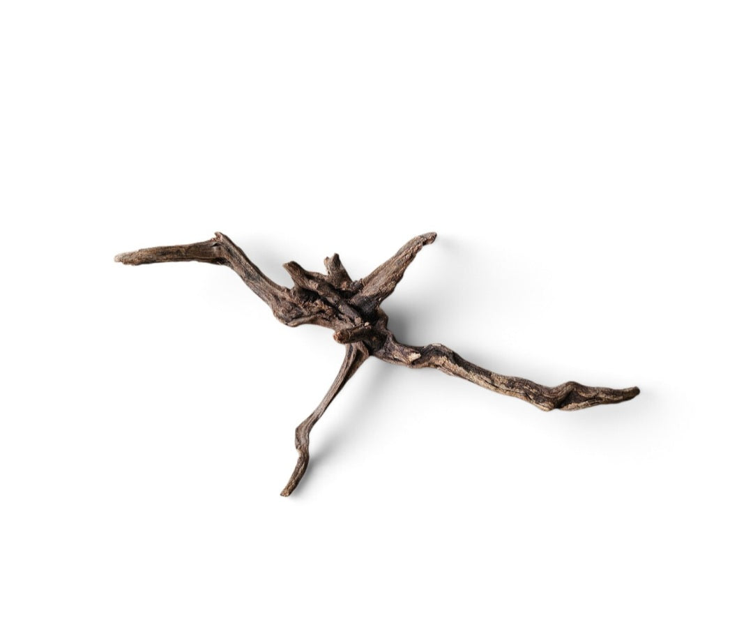Coral Sinker Wood   Nr. 188