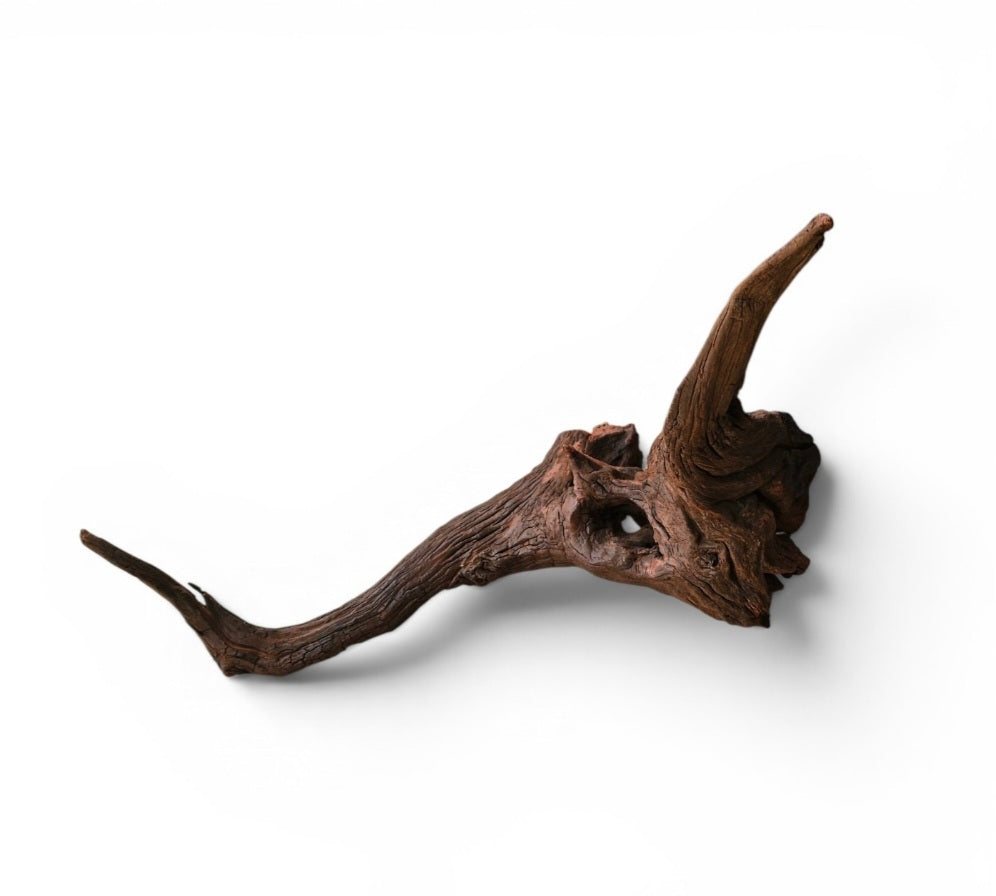 Driftwood / Flusswurzel   Nr.6