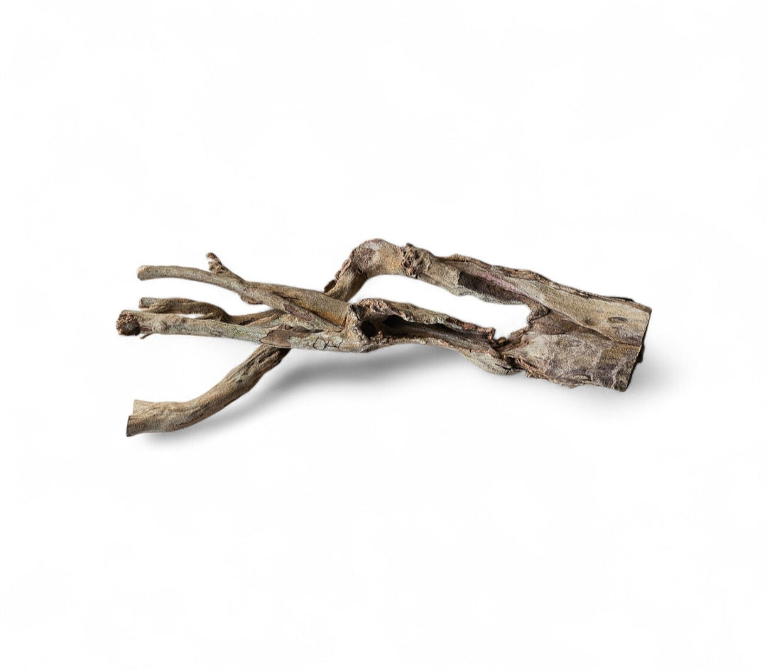 Talawa Wood  30-45cm Nr. 228